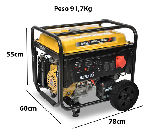 Gerador Elétrico A Gasolina 12,5kva Plus 380v Trif. Buffalo