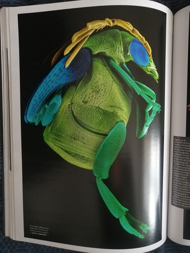 Revista Cuartoscuro 125 (Usado)