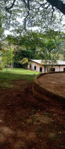 Imagen 8 de 9 de Mini Finca En Campo Carabobo