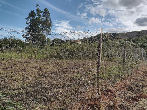 Imagem 3 de 4 de Terreno - Ref: 9033