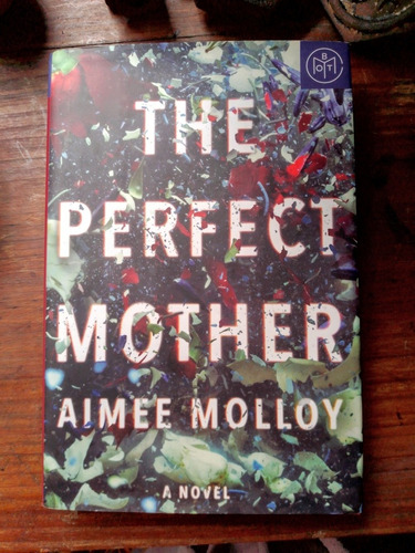 The Perfect Mother / Aimee Molloy