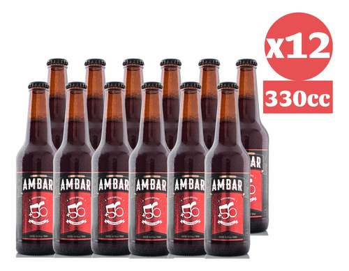 Pack 12x Cerveza Artesanal +56 Variedades 330cc