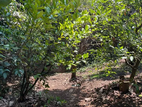 Venta Casa Fraccionamiento Monte Bello Huitzilac- V296