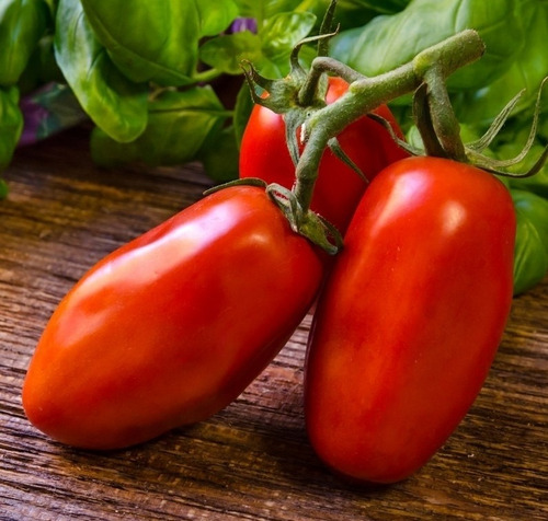 Semillas De Tomate San Manzano 