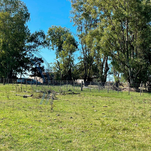Se Venden 81 Hectáreas De Campo En General Alvear.