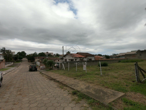 Imagem 2 de 6 de Terreno - Sao Luiz - Ref: 26116 - V-26116