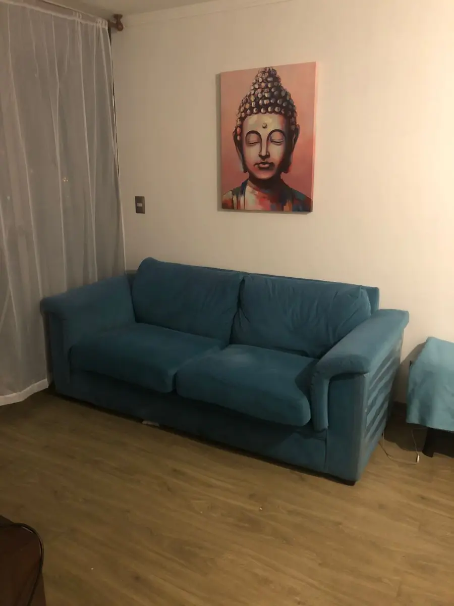 Imagen 5 de 17 de Departamento En Venta En Gómez Carreño