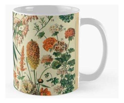 Taza Adolfo Millot Vintage Calidad Premium