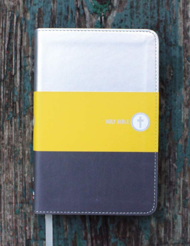 Biblia En Inles Infantil Niv Boys' Bible Compact Yellow/gray