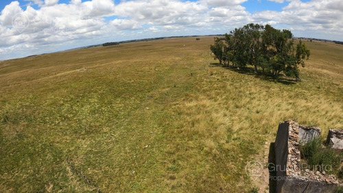Campo En Venta - Rocha
