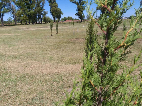 Imagen 6 de 14 de Venta Lotes + Proyecto - Navarro - Financiación
