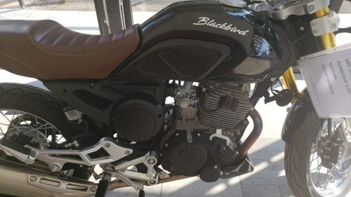 Imagen 7 de 13 de Motofeel Gdl - Italika Blackbird 250 @motofeelgdl