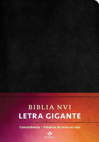 Imagen 1 de 3 de Biblia Nvi Letra Gigante Imitación Piel Color Negro