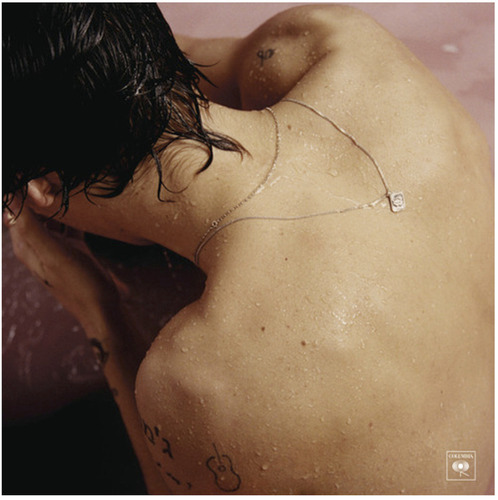 Harry Styles Harry Styles Lp Vinyl