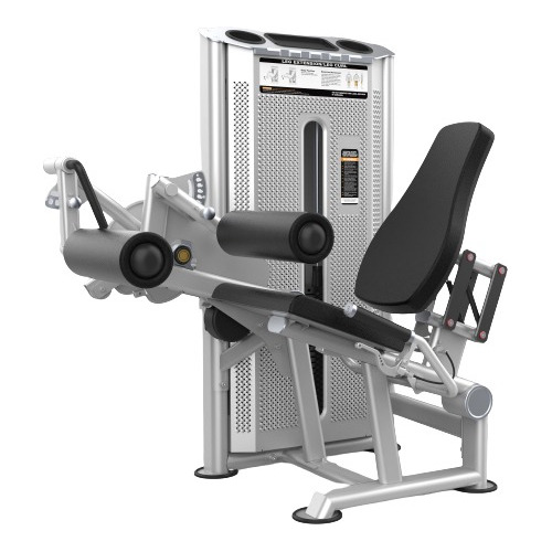 Maquina Camilla Cuadriceps Femoral Profesional Gfitness