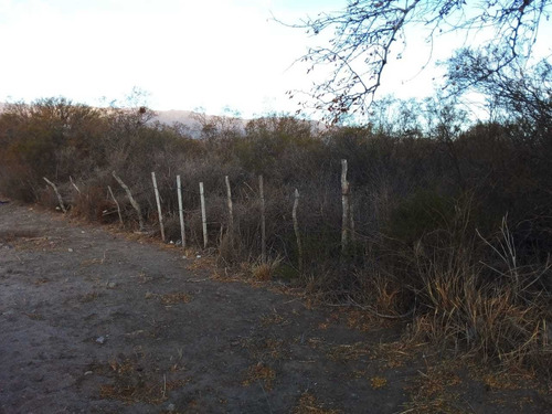 Imagen 4 de 11 de Terrenos En San Luis
