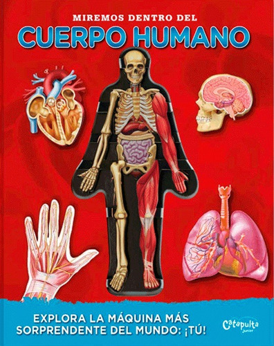 Miremos Dentro Del Cuerpo Humano - Libro Infantil Tapa Dura