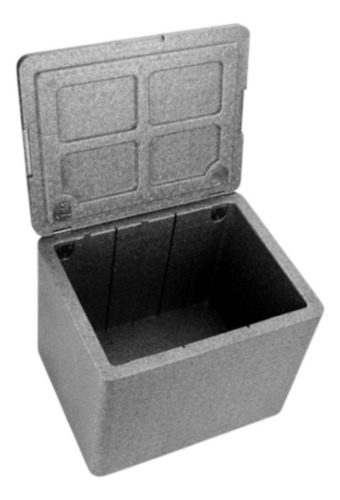 Caja Caliente Térmica Liviana Aislada, Caja De Gris