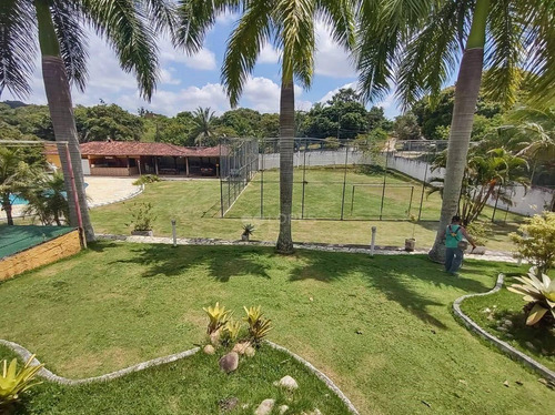 Imagem 19 de 21 de Sítio Com 6 Quartos 4000 M² Por R$ 650.000 - Ipiiba - São Gonçalo/rj - Si0009