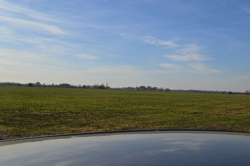 Imagen 7 de 13 de Campo En Venta En Cañuelas Sobre Ruta 6 , Km 99