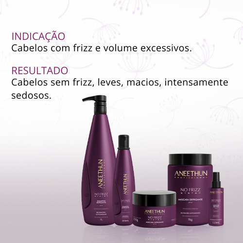 Shampoo No Frizz System Aneethun - 300ml