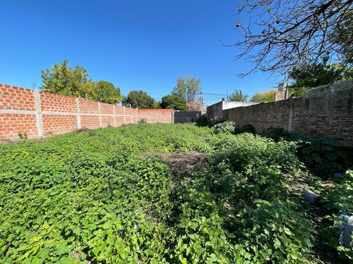 Imagen 4 de 8 de Alquiler Lote Baldio 1562m2