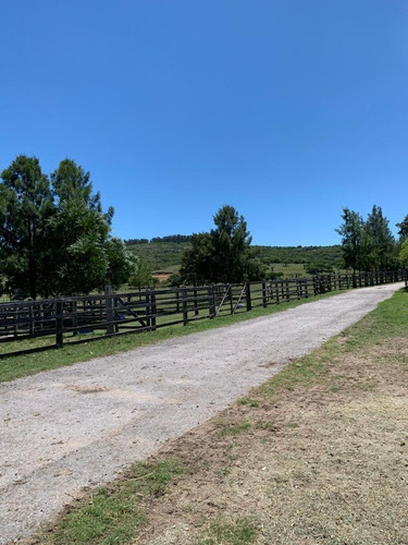 Imagen 6 de 14 de ¡¡¡gran Estancia Ganadera O Proyecto Turístico. Pueblo Edén. ¡¡financia!!!
