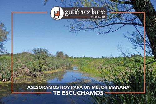Campo 28 Ha Panorámicas Con Buenas Aguadas Naturales