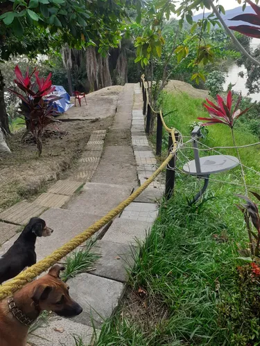 ¡vendo Hermosa Finca En Prado Tolima Vereda Tafurito, Clima Cálido Y Natural!