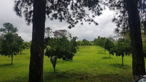 Imagem 7 de 23 de Sítio À Venda, 36000 M² Por R$ 1.800.000,00 - Itapety - Mogi Das Cruzes/sp - Si0011