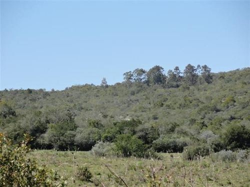 Quinta En Venta De 2 Dormitorios En Aiguá