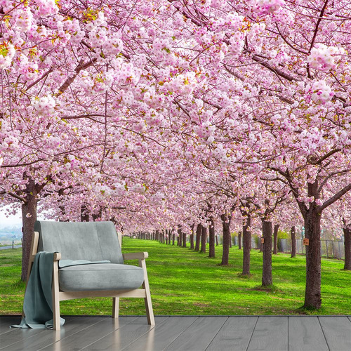 Papel De Parede Japonês Jardim Sakura Árvore Adesivo 426 Cor Colorido