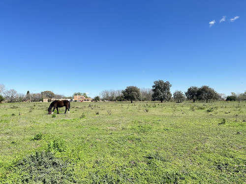 Venta Terreno En Lobos, Lotes De Casi 1ha