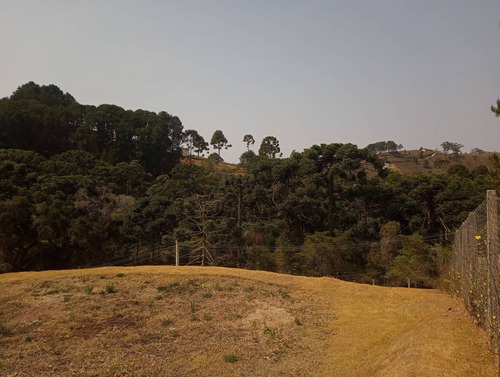 Imagem 11 de 15 de Terreno No Jd. Cataguases Em Campos Do Jordão - 43