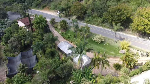 Imagem 14 de 30 de Chácara 2048m2, Casa Sede, Loja, Depósito, Viveiro De Plantas Com Estufa, Acesso Asfaltado, Poço Caipira, Ótima Localização - Ch00256 - 70814196