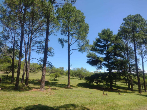 Imagen 10 de 18 de Venta Lote Valle Sereno Sta. Rosa De Calamuchita