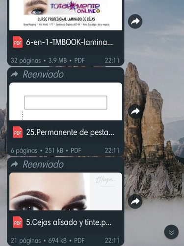 Imagen 3 de 3 de Pdf, Peluquería, Cejas, Pestañas Y Mas