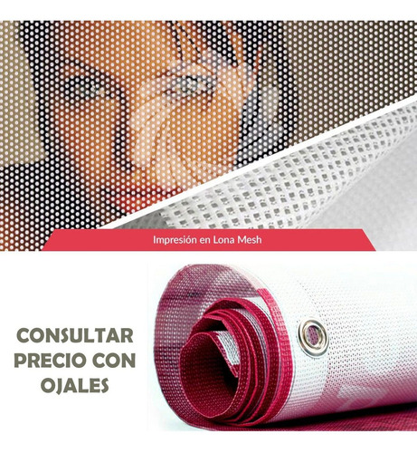 Lona Microperforada Mesh Impresa Full Color Gigantografia Full Color