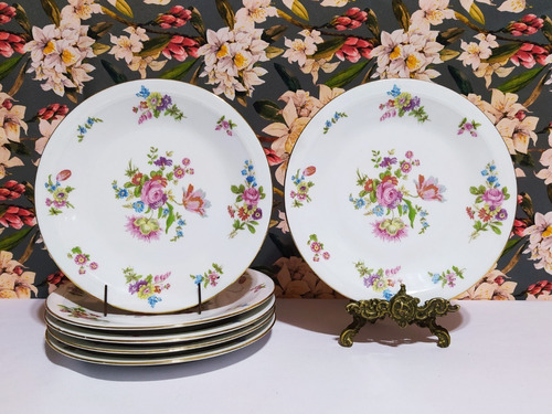 Juego De 6 Platos De Postre De Porcelana Francesa P N