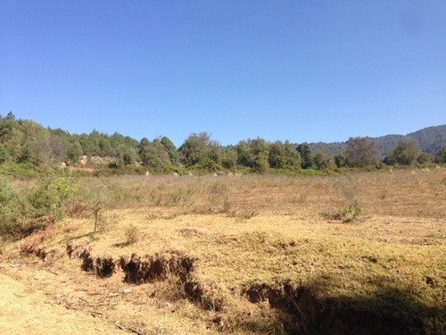 Imagen 6 de 7 de Terreno En Venta En San Bartolo, Amanalco