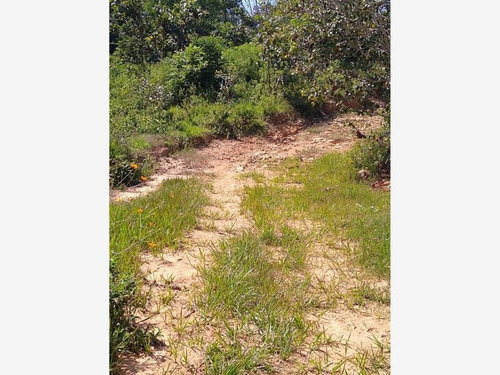 Imagen 6 de 6 de Terreno En Venta Yelapa