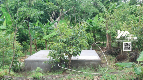 Imagen 7 de 8 de Se Vende Finca Con Casa En Masaya