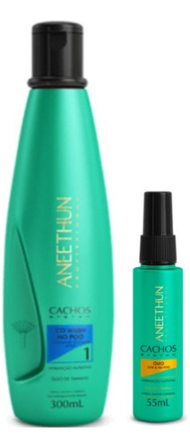 Kit Aneethun Cachos System Condicionador 300ml + Óleo 55ml