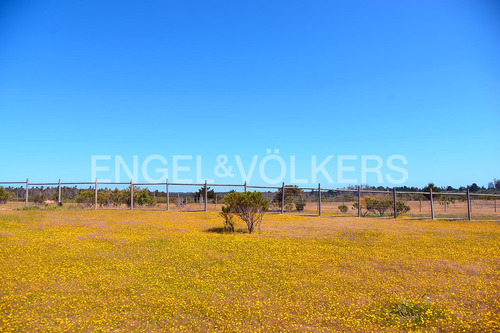 Sitio Plano 2200m2 Urbanizado.