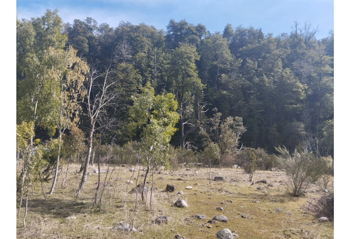 (051) El Bolson, Terreno De 1/2 Ha Frente A Camino Con Costa De Rio Azul