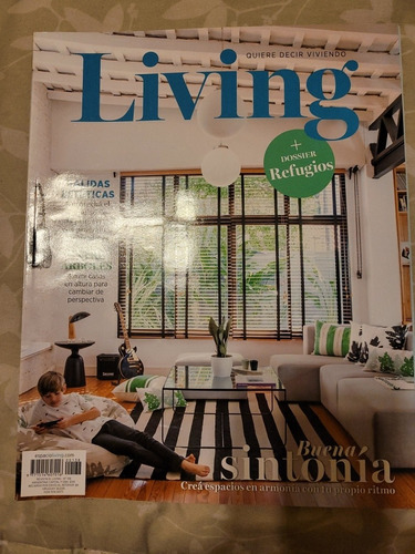 Revistas De Decoración Usadas Living, Lote De 10 Unidades.