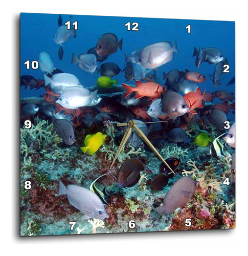 3drose Dpp__2 Reloj De Pared Con Peces De Arrecife De Coral 