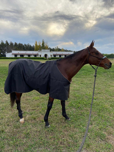 Pensionado De Caballos