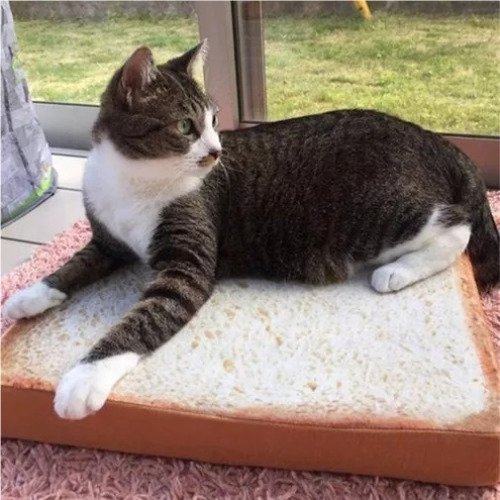 Seat Cushion Pet Seat Cushion Simulation Bread