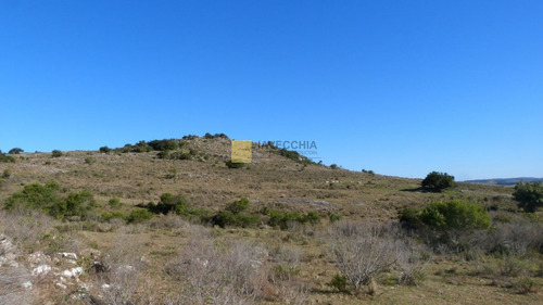 Imagen 6 de 20 de Venta De Campo De 80 Hectáreas Sobre Ruta 39